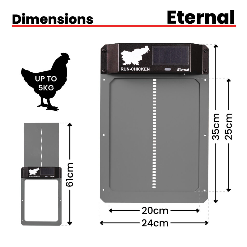 Eternal Door Dimensions